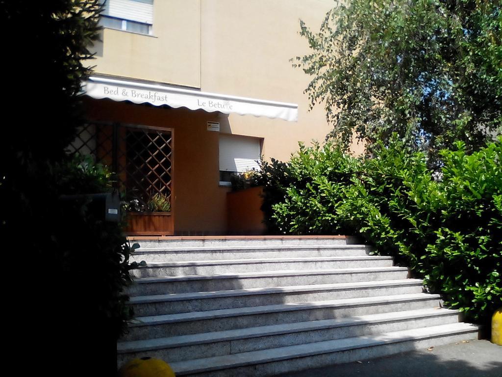 La Casa Delle Betulle